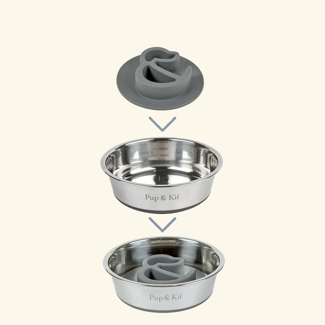 Slow Feeder Bowl Insert