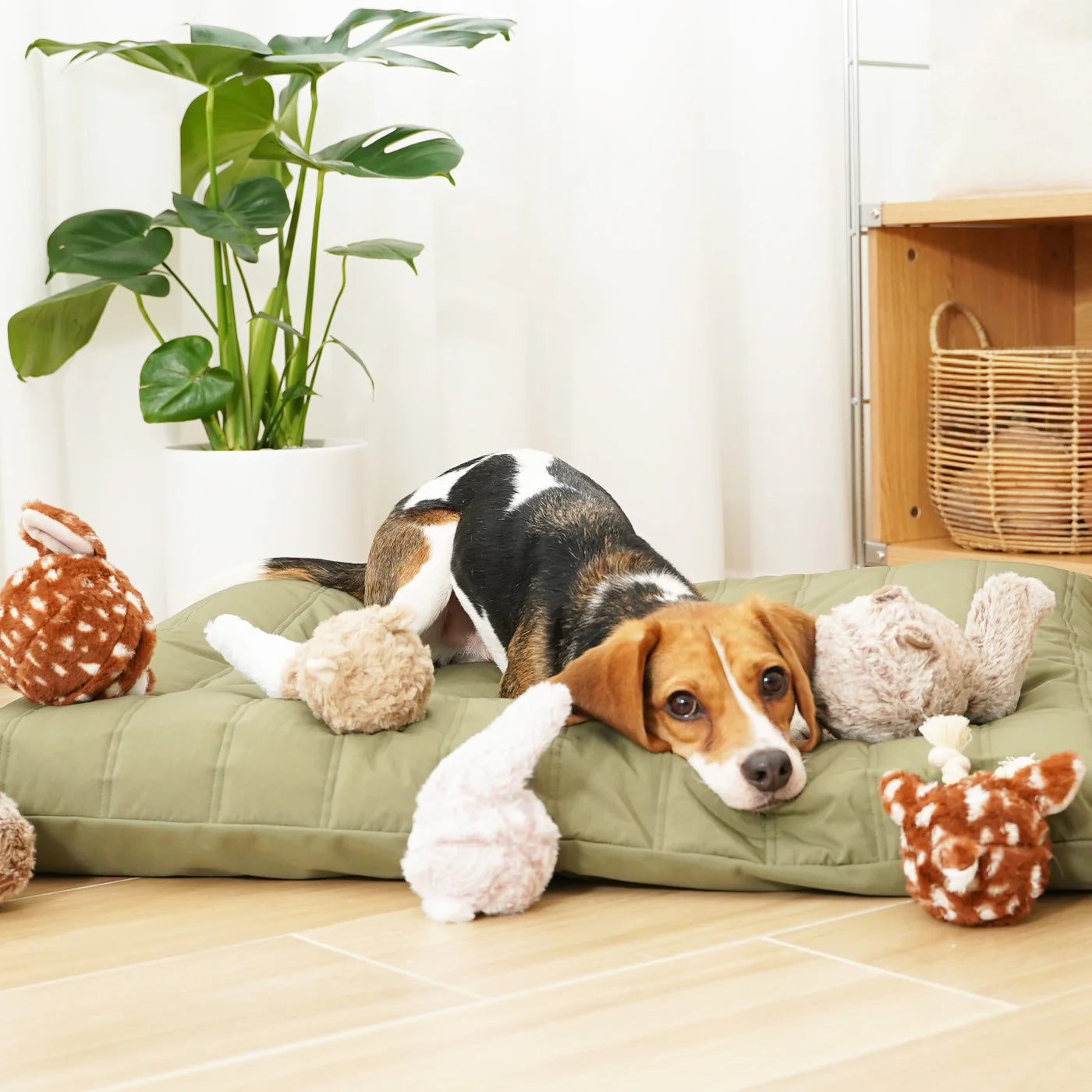 Bunny Pop Enrichment Toy