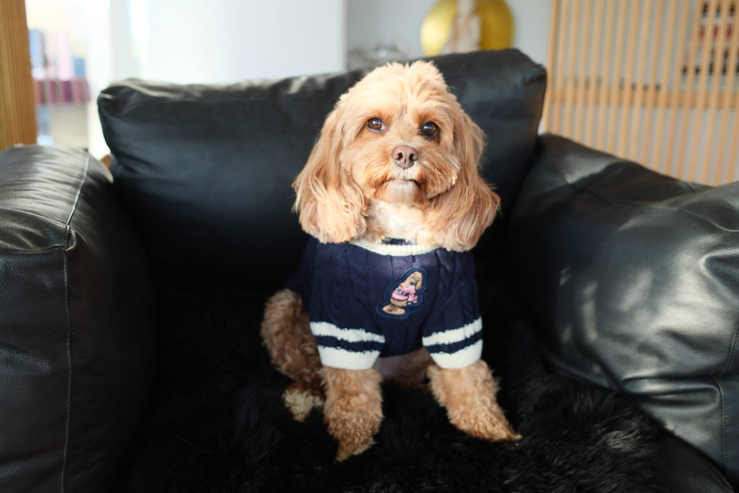 Canine Sporting Knit - Ski Jumper