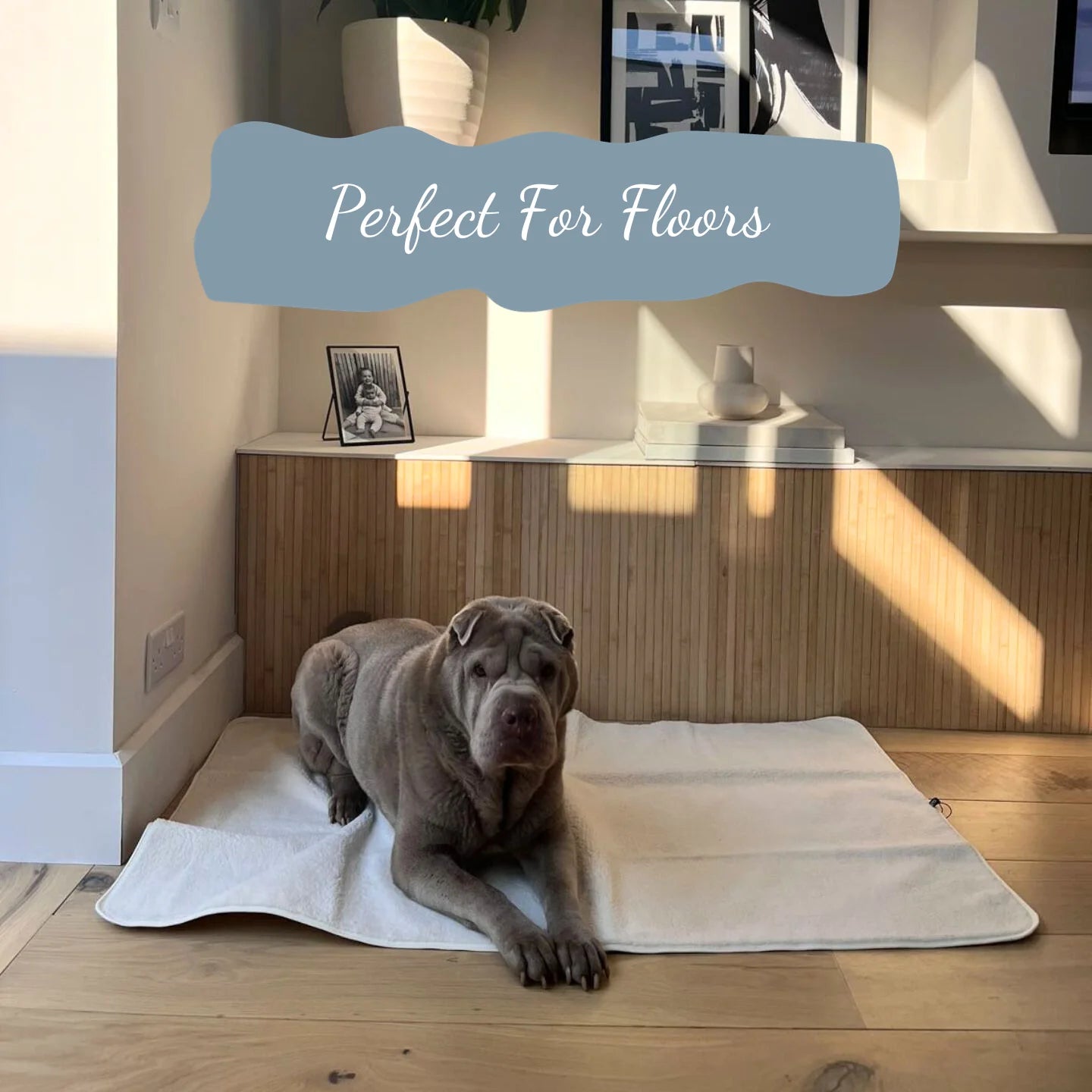 Grey Waterproof Dog Blanket