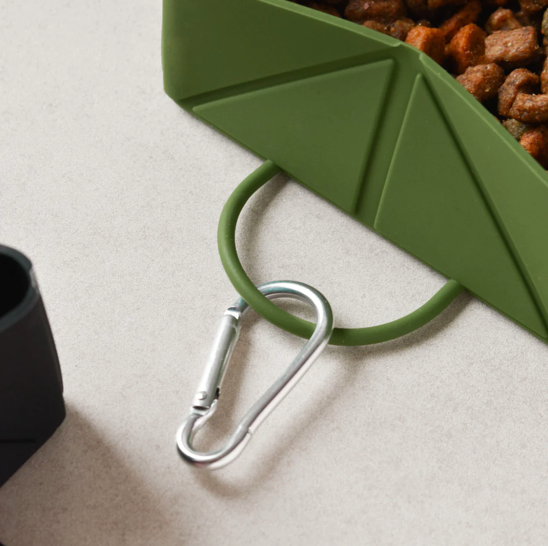 Green Foldable Travel Bowl