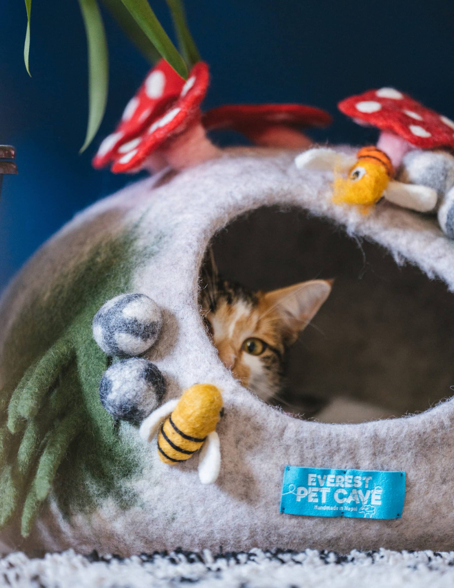 Cat Cave Home Bee Garden