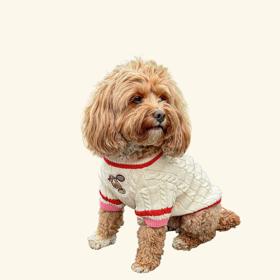 Canine Sporting Knit - Tennis