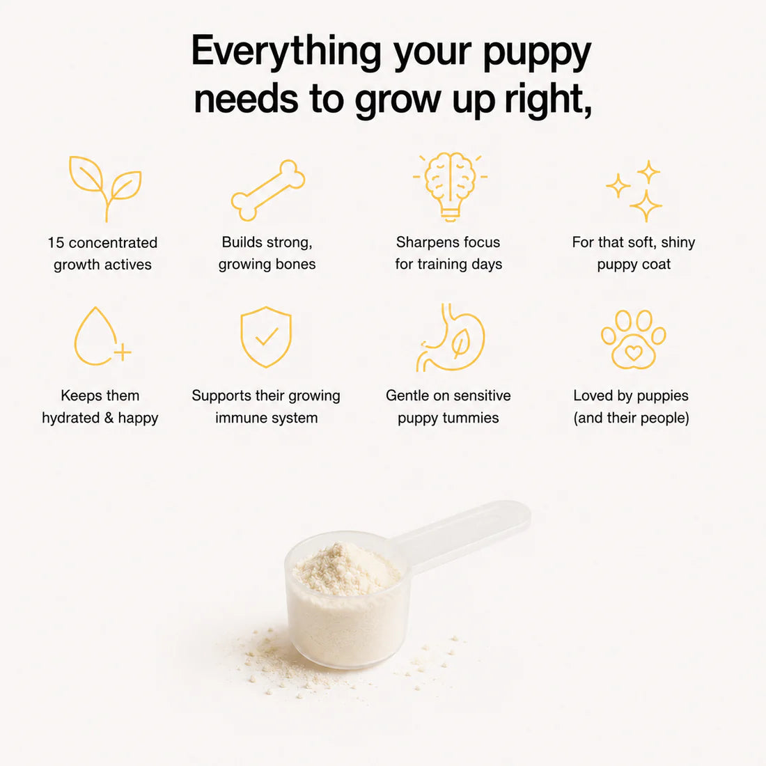 Puppy Advanced Milk Formula