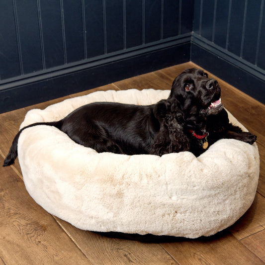Dog laying down on a white dog bed