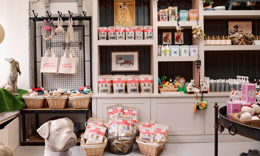 Curated luxury dog products displayed in boutique pet shop retail environment