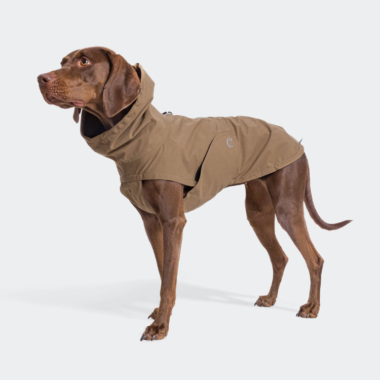 dog-raincoats