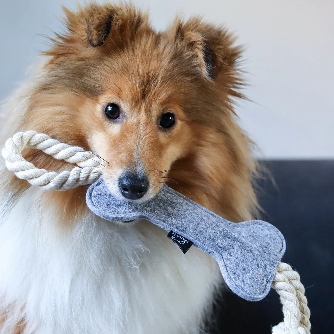 dog-toys-with-rope