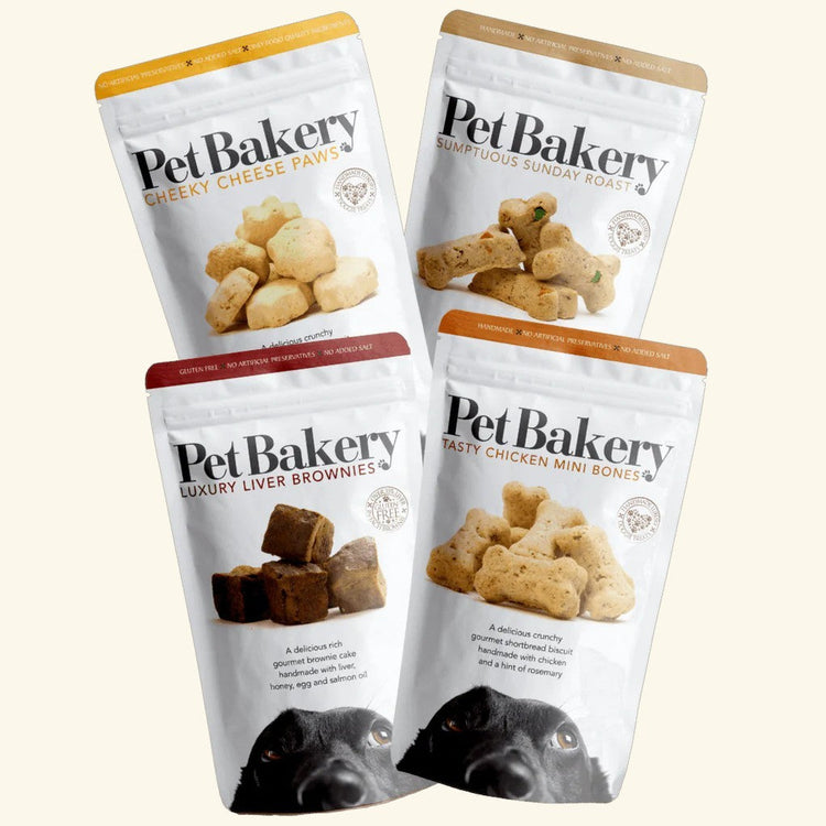 soft-dog-treats