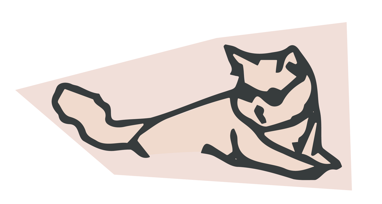 cat-toys