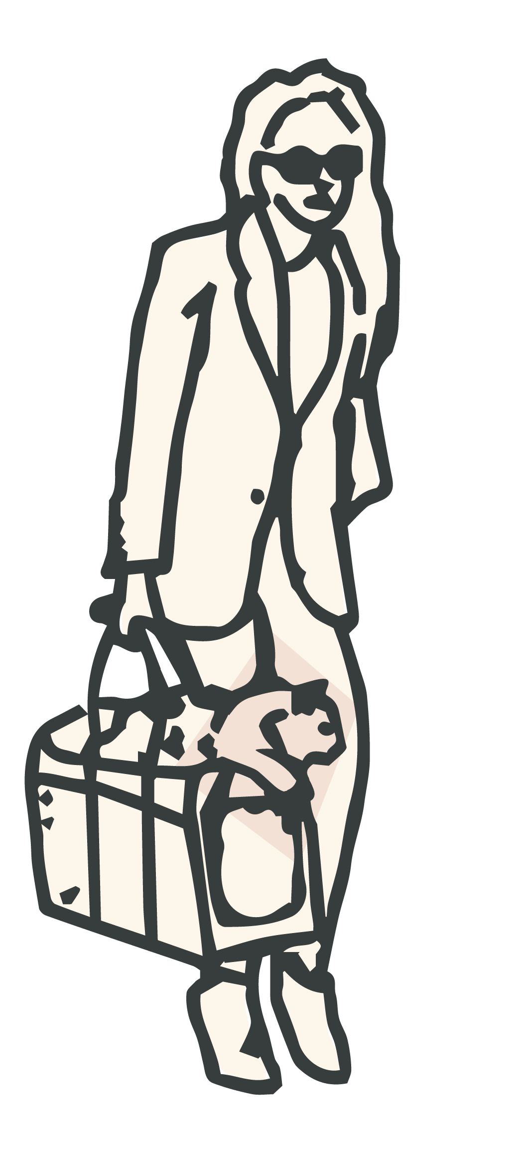 cat-collars
