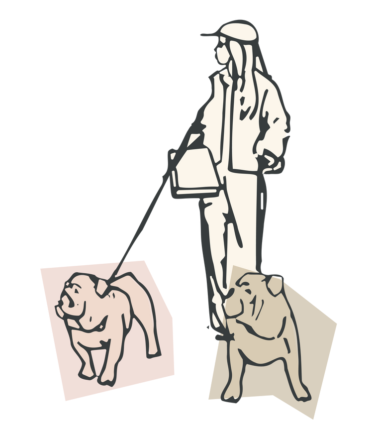 Dog Harnesses