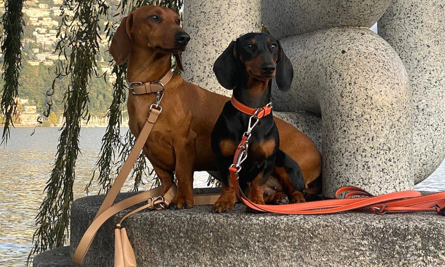 leather-dog-leads