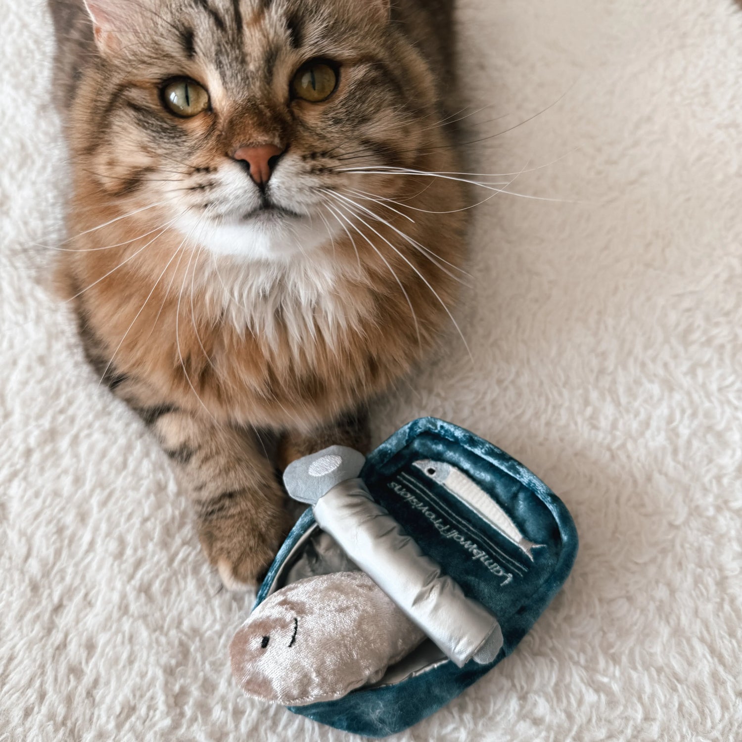 cat-toys