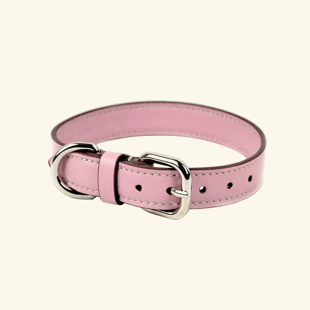 Carlotta Palermo - Leather Collar Opal