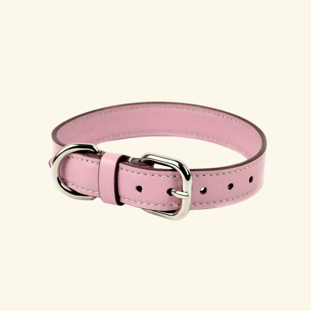 Carlotta Palermo - Leather Collar