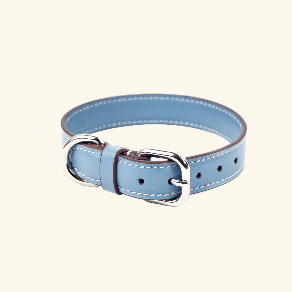 Carlotta Palermo - Leather Collar Sugar Blue
