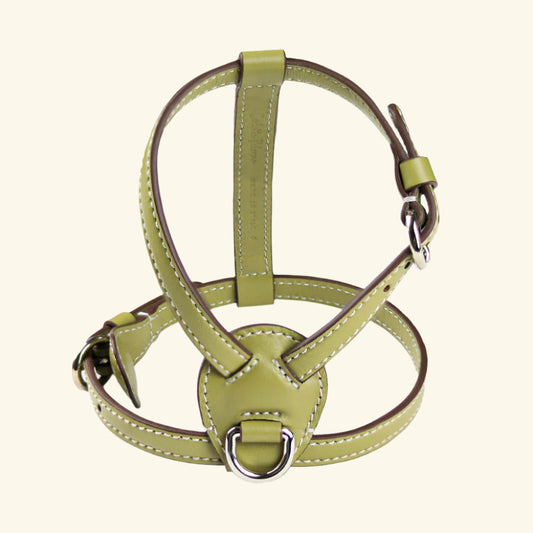 Carlotta Palermo - Nuvola Harness