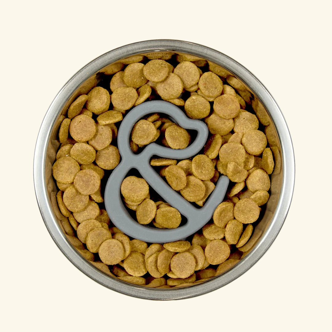 Slow Feeder Bowl Insert