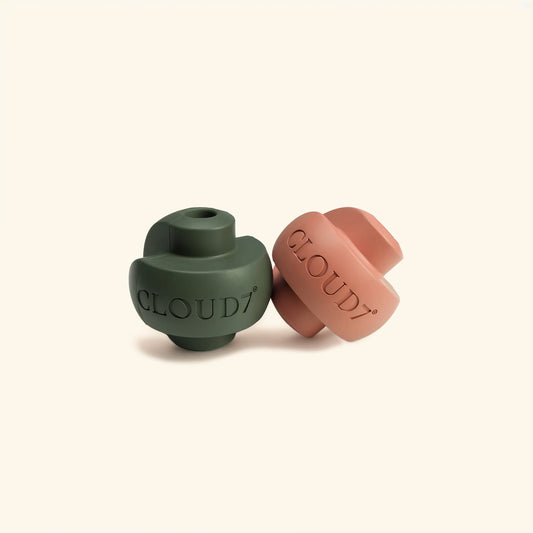 Zeno Activity Toy