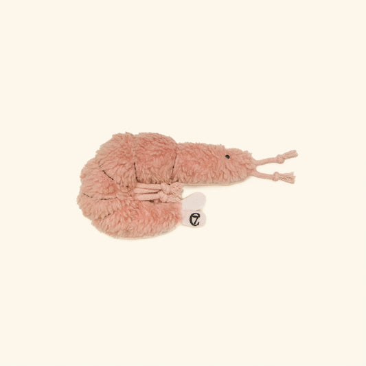 Shrimp Susi