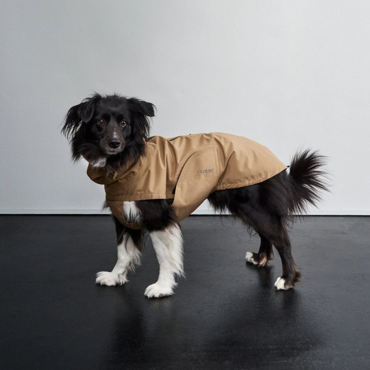 Dark Olive Dublin Raincoat