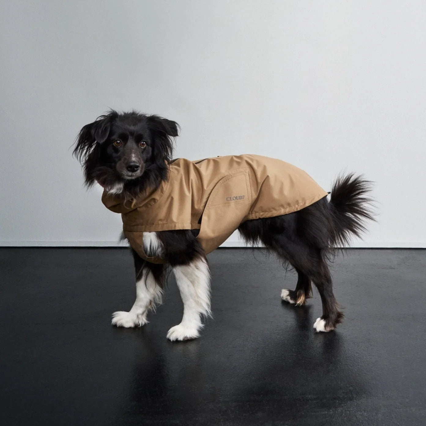 Sandy Brown Dublin Raincoat