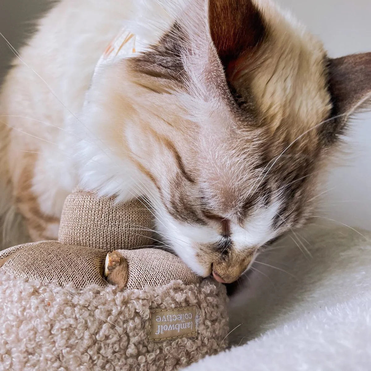 Guu Oat Nosework Mushroom