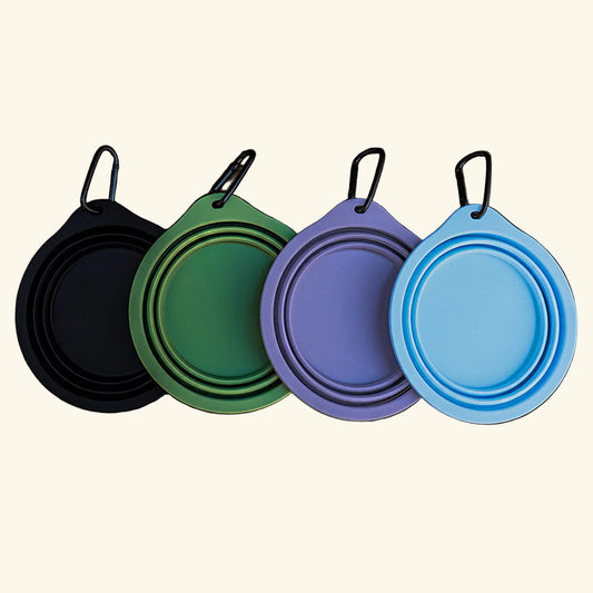 Collapsible Water Bowl Silicon