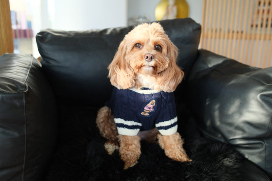 Canine Sporting Knit - Ski Jumper