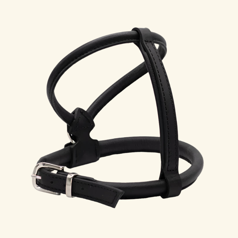 Rolled Leather Harness