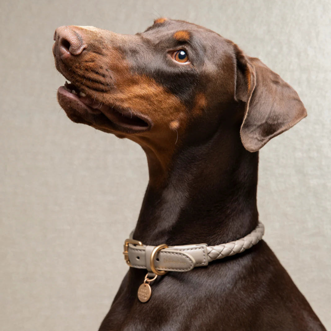 Red Ferdinando Collar