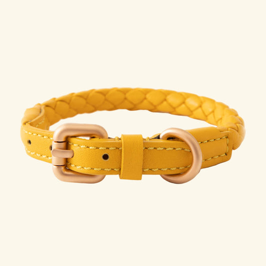 Yellow Ferdinando Collar