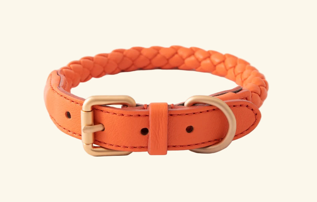 Orange Ferdinando Collar