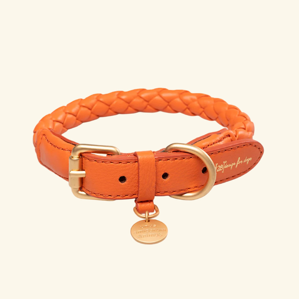 Orange Ferdinando Collar