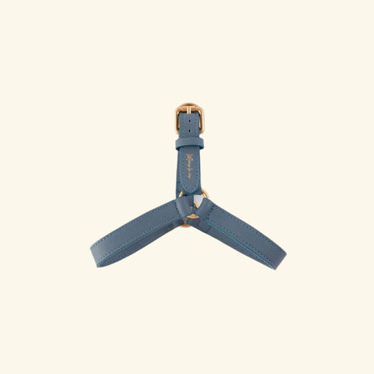 Blue Mario Harness