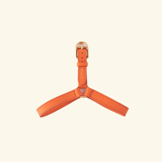 Orange Mario Harness