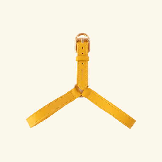 Yellow Mario Harness