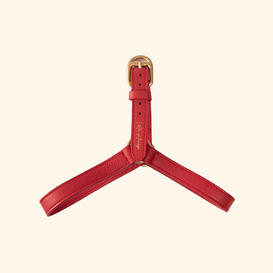 Red Mario Harness