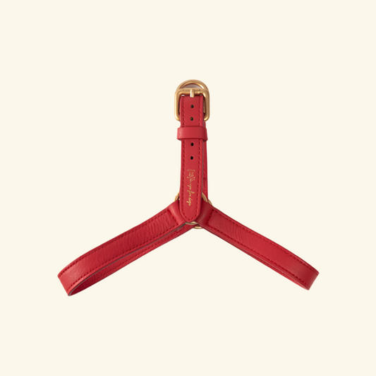 Red Mario Harness