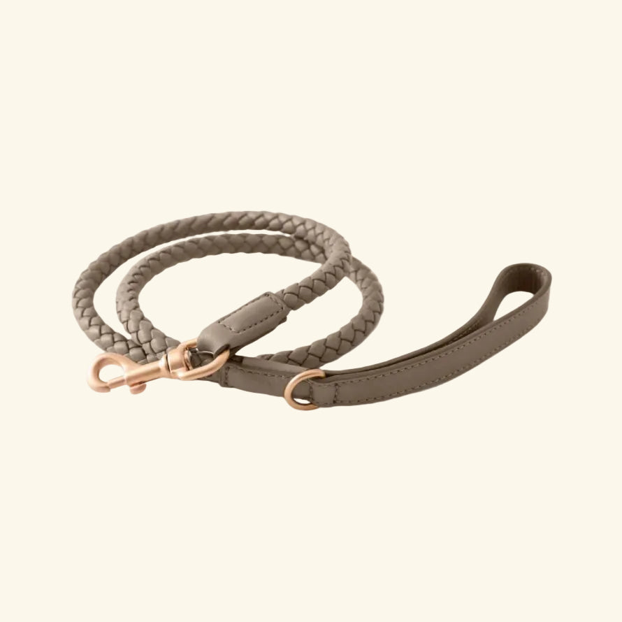 Taupe Ferdinando Lead
