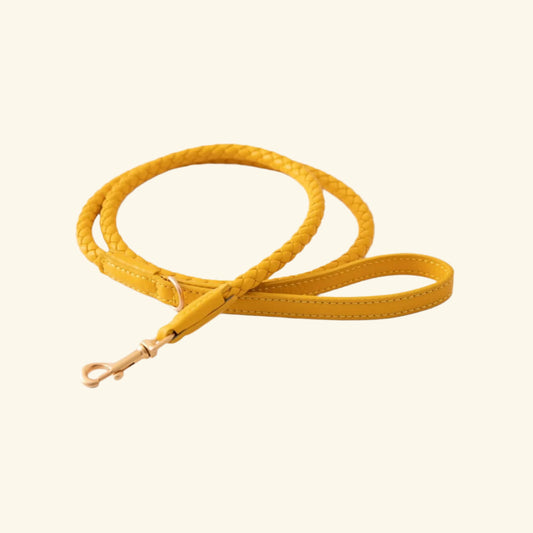 Yellow Ferdinando Lead