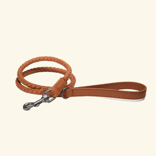 Dromedary Ferdinando Lead