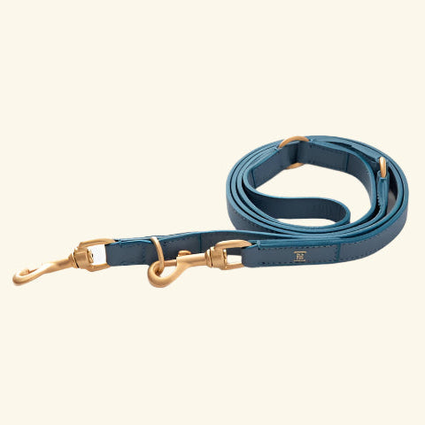 Blue Mario Training Lead