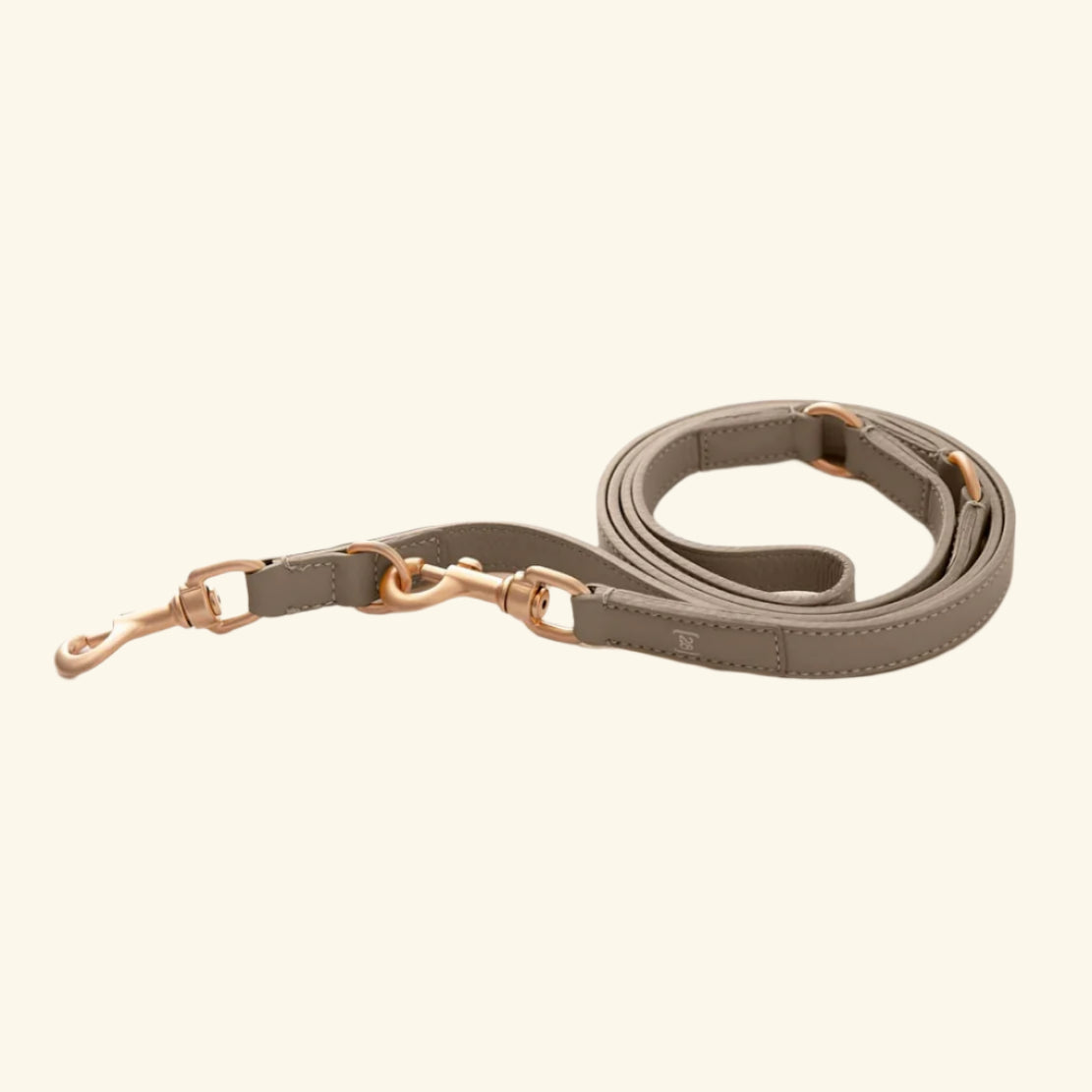 Taupe Mario Training Lead