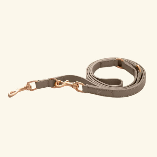 Taupe Mario Training Lead