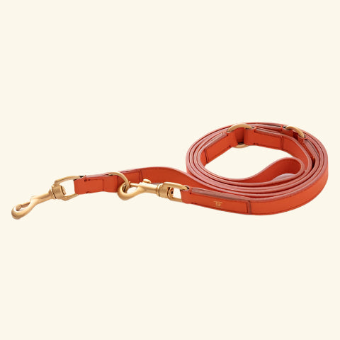 Orange Mario Training Lead