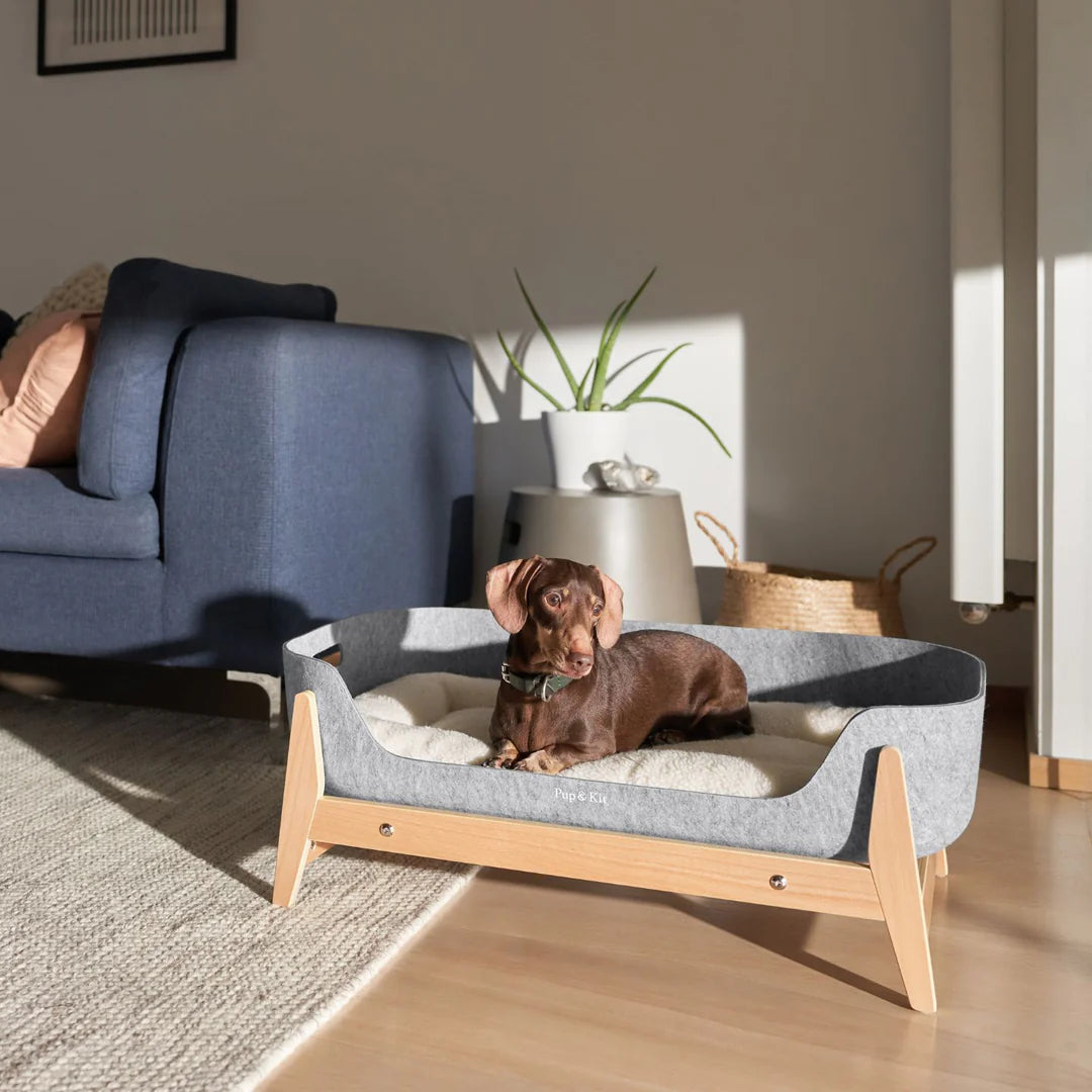 PetNest with Stand