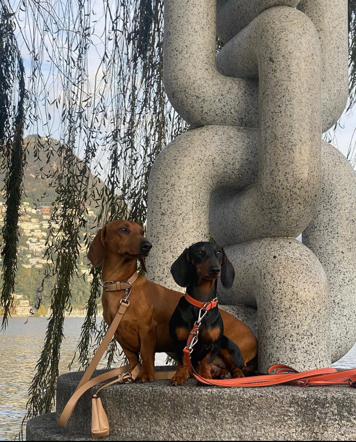 Carlotta Palermo - Leather Collar