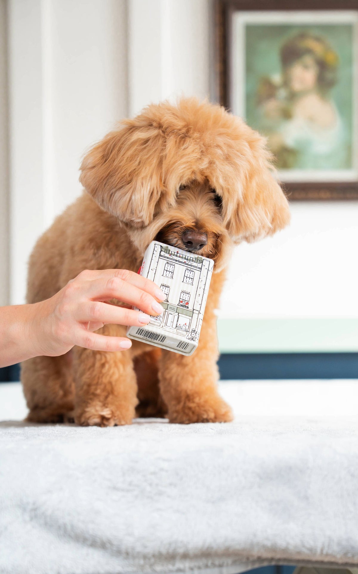 Filled Treaty Treats Tin - Love My Human